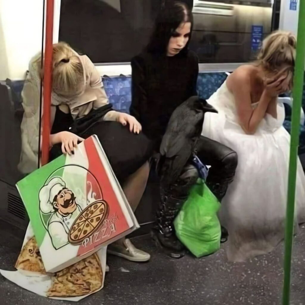 Valio verga la picsa de don culejo