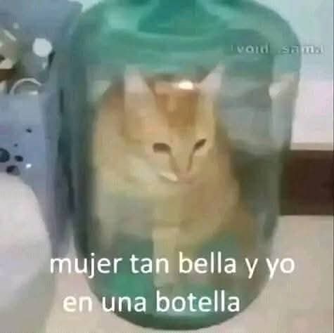 Hola culeros ya volví fijense que traje pizza pero se me cayó 😕